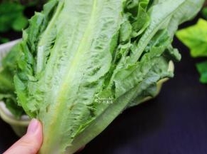 食材准备，挑选新鲜的油麦菜、大蒜去皮剁碎。水食材：油麦菜1棵、油3ml、盐2克、大蒜1个