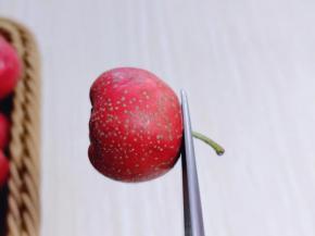 首先将山楂蒂用视频剪刀剪掉！依次剪完！