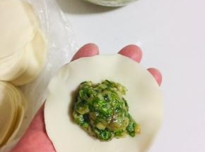 取一张圆饺子皮，放入一勺调好的肉馅儿。