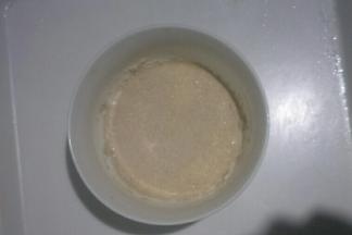 酵母加入牛奶中融化