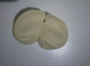 横切面无明显气孔