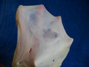 搅拌至无干粉；手工揉面至面筋扩展，加入酵母，继续揉10分钟。面团收入保鲜盒，入冰箱冷藏发酵24小时。