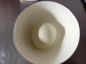 放容器中，置于温暖处进行一发