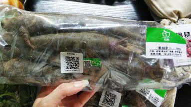 萌哒的紫胡萝卜