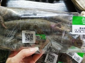 萌哒的紫胡萝卜
