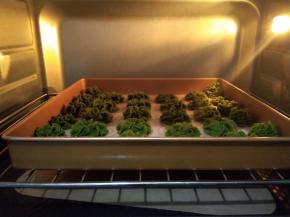 满盘的曲奇进入烤箱中层烘烤（三层烤箱就中间那层，四层烤箱下面数上来第二层），150度烘烤约20分钟，大家还需要根据自家烤箱的情况来调节。