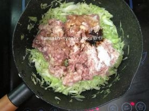 锅里加油把包菜丝炒软，加入肉未炒至变色，加入1小勺盐，1勺蚝油

，少许胡椒粉，少许糖，少许芝麻油，炒均匀