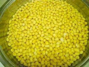 准备好干黄豆，洗净浸泡至完全涨发。