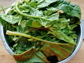 菠菜清洗干净。