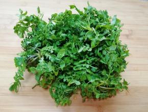 荠菜清洗干净。