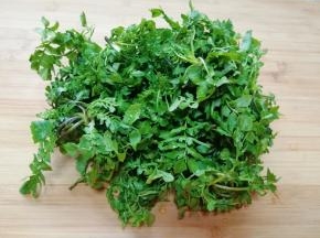 荠菜清洗干净。