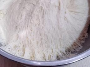 发酵好的面团，全部是蜂窝眼，再次揉圆排气，盖上保鲜膜静置10分钟！