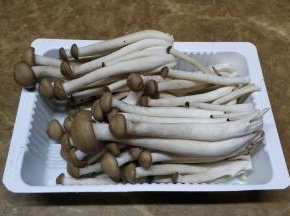 菇菇洗净