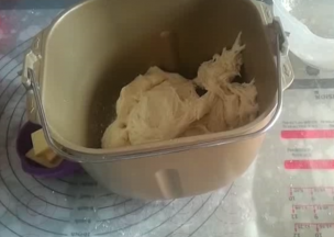 中种撕成小块和主面团黄油外的材料混合均匀，揉至可以出厚膜。