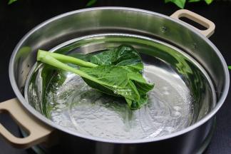 用不锈钢的平底盘做蒸盘，盘底用菜心叶涂抹一层油。涂油能不粘锅，肠粉也会很好吃很多。蒸盘要预热一下，在涂油，会更好好。