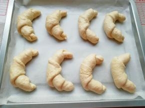  烤盘上铺油纸，放上做好的羊角包生胚。