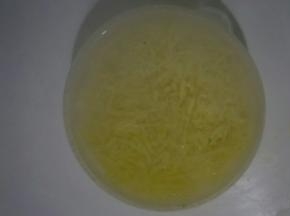 土豆用热开水烫一下，挤去水分，放凉