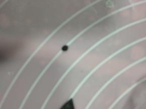 揉一黑色小面团贴在白色面团上面