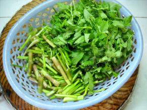 野芹菜洗净、切段备用。
