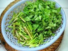 野芹菜洗净、切段备用。