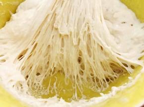 波兰种材料混合均匀盖上保鲜膜放入冰箱冷藏发酵一晚，撕开里面全是密集的小孔即可