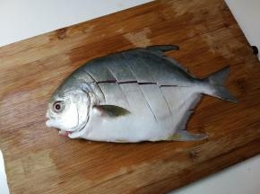 金昌鱼刮去鱼鳞，去掉鱼肠洗净，表面划切数刀