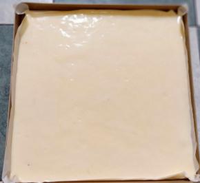 倒入拌好的蛋糕面糊。震模。放入预热好的烤箱130度中下层烤30分钟。