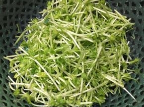 豆苗洗净沥干水备用。