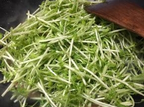 倒入豆苗不停翻炒。