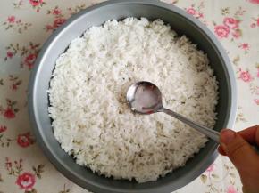 1.	大米饭一大碗，平铺在9寸披萨盘上，用勺子轻轻将其压实，为了不让大米饭粘到勺子上，可以把勺子沾一点清水，再压，