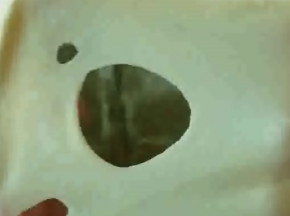 揉到面团比较光滑，扯开面团，能拉出膜，膜的洞口有锯齿状，加入黄油