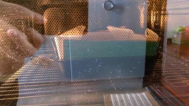 烤箱以上下管均150度预热，预热到位后，将烤盘中加入一层冷水放入烤箱的最下面，在烤盘上面放烤网，模具放在烤网上，烘烤60分钟。