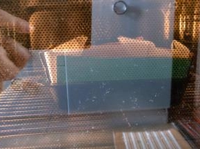 烤箱以上下管均150度预热，预热到位后，将烤盘中加入一层冷水放入烤箱的最下面，在烤盘上面放烤网，模具放在烤网上，烘烤60分钟。
