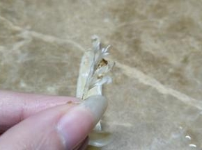 用剪刀剪掉不要