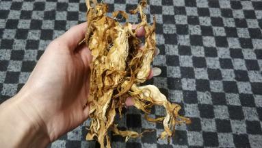 火龙果花干洗干净