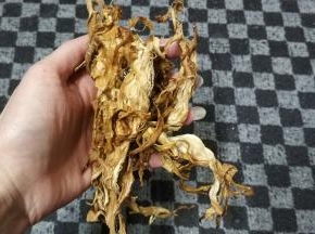 火龙果花干洗干净