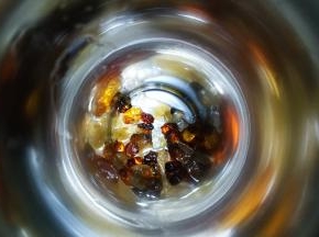 将洗干净的胶原组合放入保温瓶里