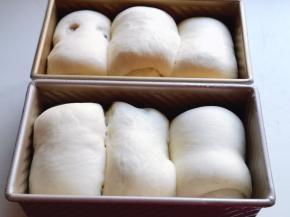 放入烤箱进行发酵，放入一杯开水，保持面包胚的湿度，发酵至9分满。