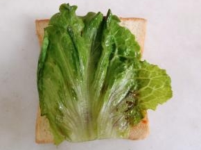 放上生菜叶。