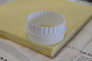 准备一个圆形切模。