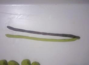 把绿色和奥利奥色面团搓成长条(长度约16厘米左右)