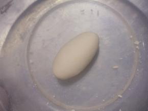 同样揉成非常光滑的面团