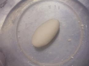 同样揉成非常光滑的面团