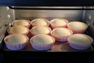 松弛好后再一一排气揉圆放入纸托中，放入烤箱进行二次发酵，发酵到两倍大；