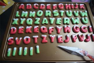 主体糖霜凝固后，用白色糖霜装饰画顶部，营造雪感，然后再放入风炉风干即可。