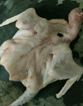 去买乳鸽的时候，让店家帮忙宰杀，去除内脏。再拿回家清洗干净，擦干水份。