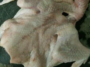 去买乳鸽的时候，让店家帮忙宰杀，去除内脏。再拿回家清洗干净，擦干水份。