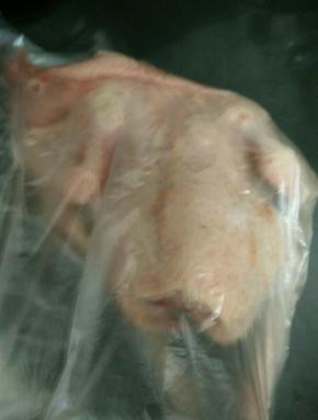 把乳鸽装到保鲜袋然后把乳鸽放到保鲜袋里。