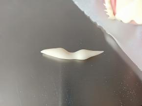 取适量白色面团搓出如图的造型来