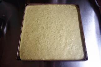 烤盘垫上不粘油布，将蛋糕糊倒入烤盘，震荡出大气泡。